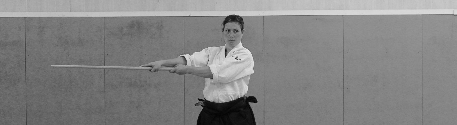Stages d'Aïkido - Dojo Satori