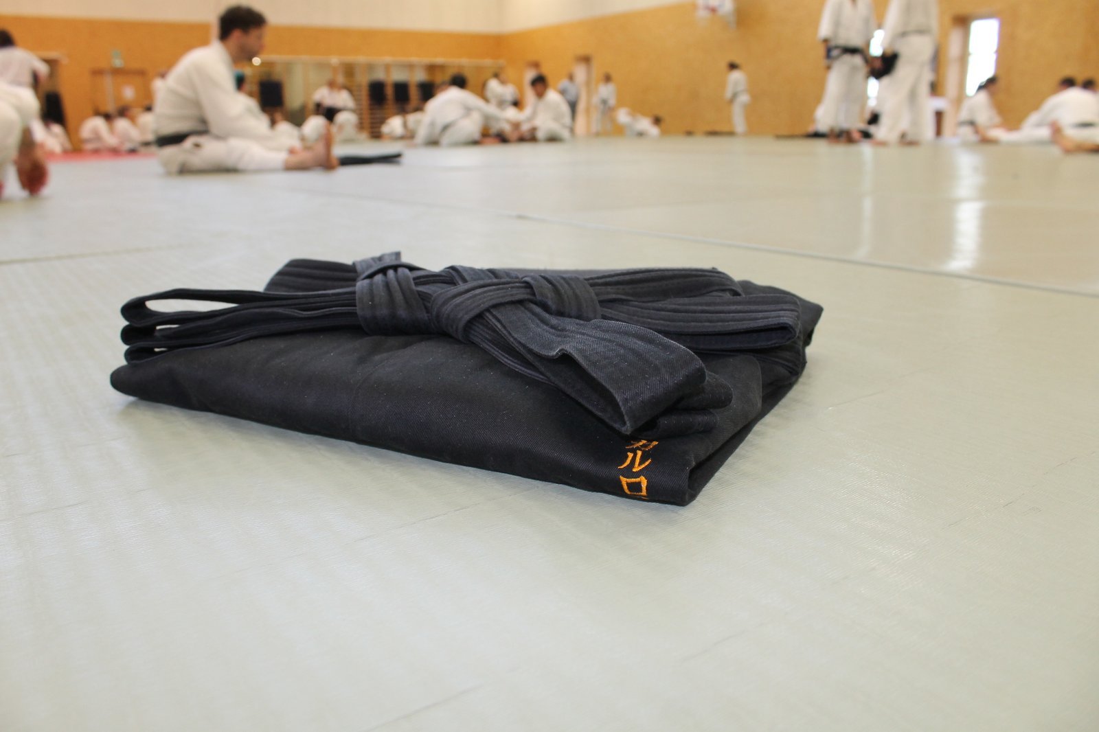 Pratique au dojo